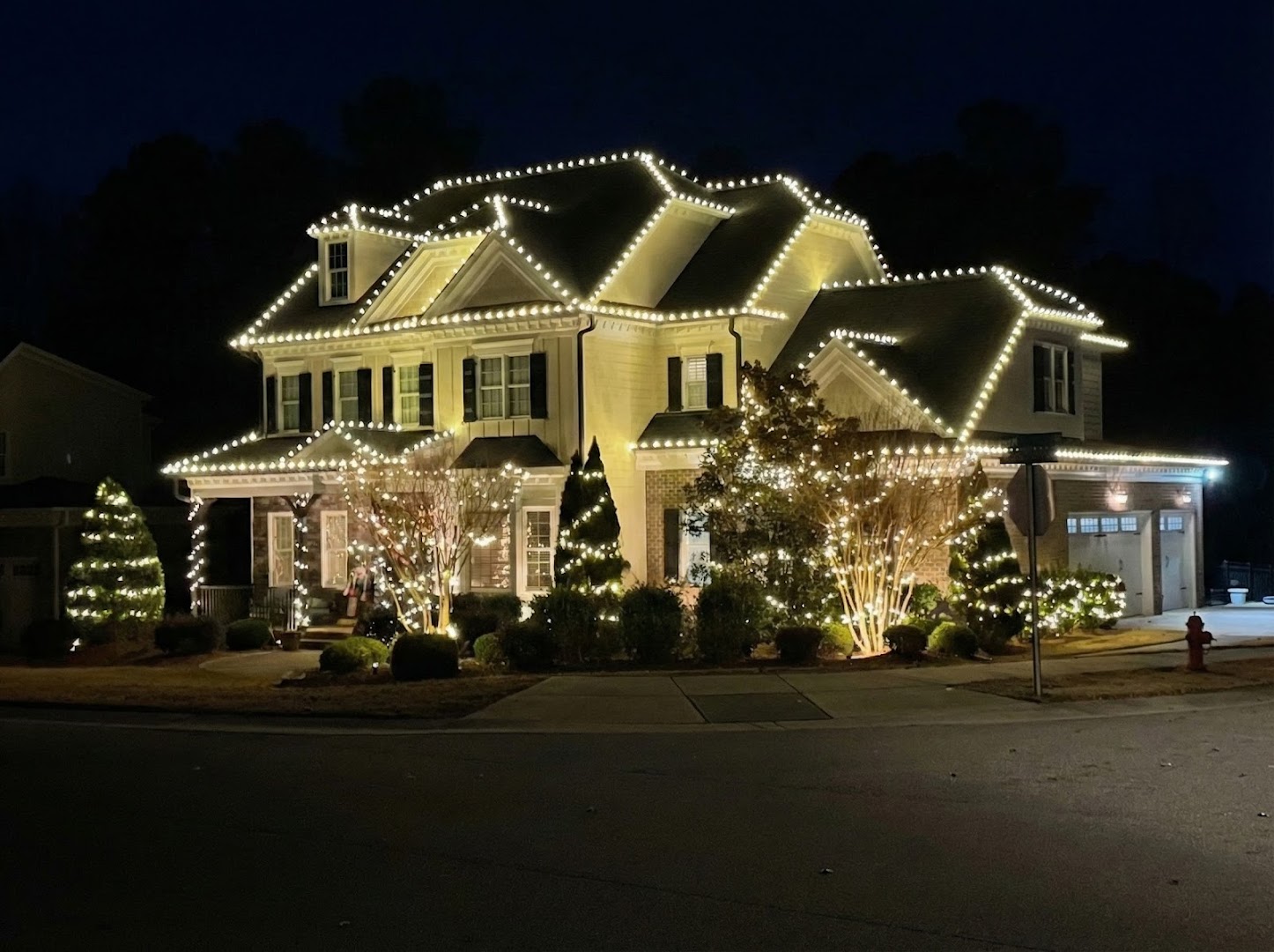 Classic home with warm white and landscape lighting